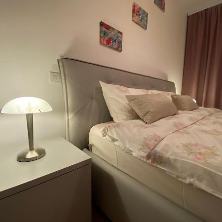 Central Apartment Timişoara Extérieur photo