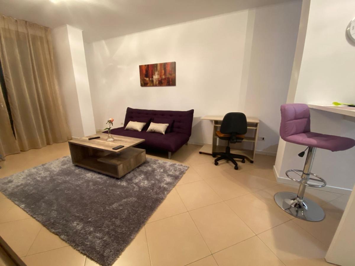 Central Apartment Timişoara Extérieur photo