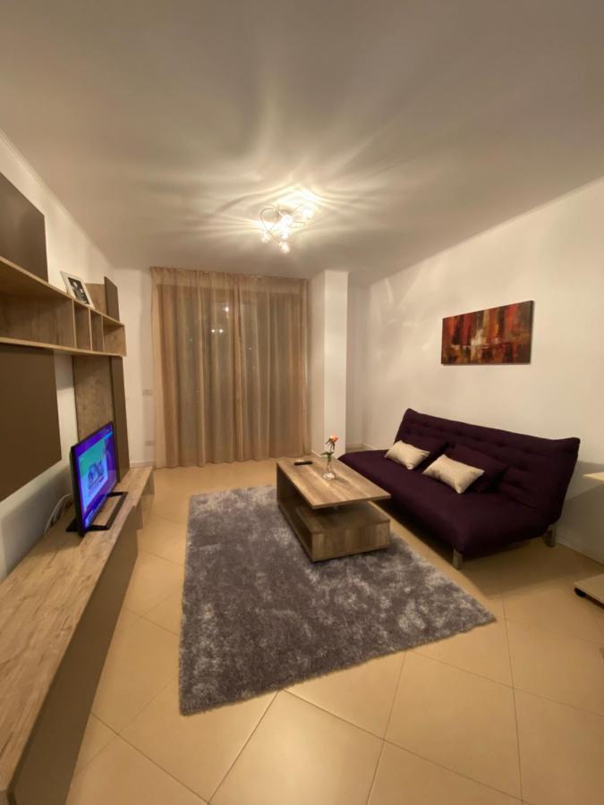 Central Apartment Timişoara Extérieur photo