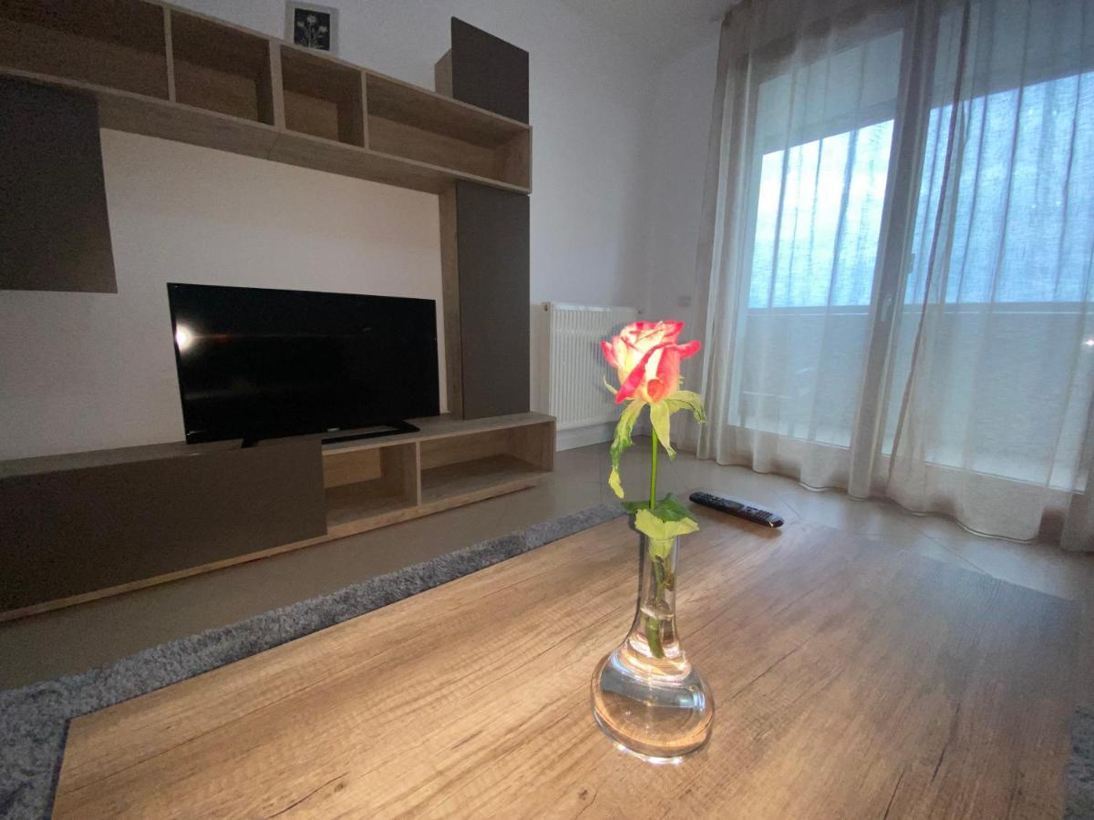 Central Apartment Timişoara Extérieur photo