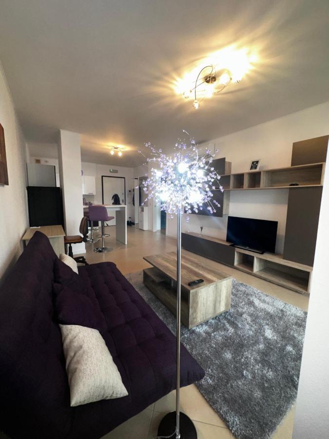 Central Apartment Timişoara Extérieur photo