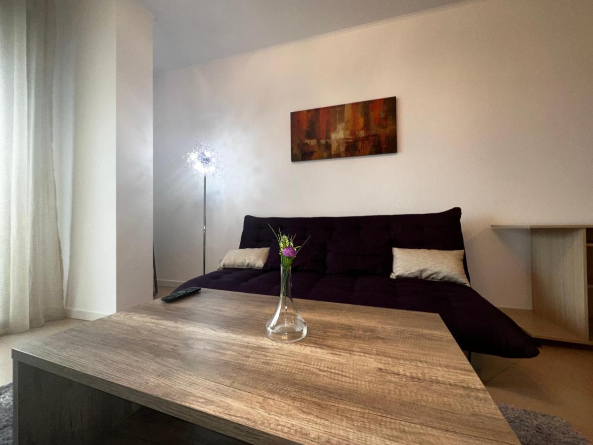 Central Apartment Timişoara Extérieur photo