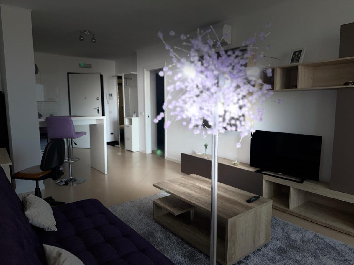 Central Apartment Timişoara Extérieur photo