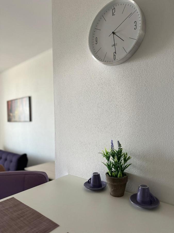 Central Apartment Timişoara Extérieur photo